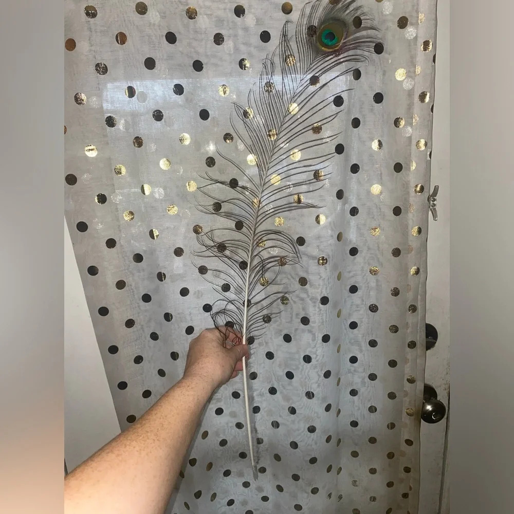 Peacock Feather - Picture 2 of 2